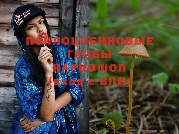 альфа пвп Армянск
